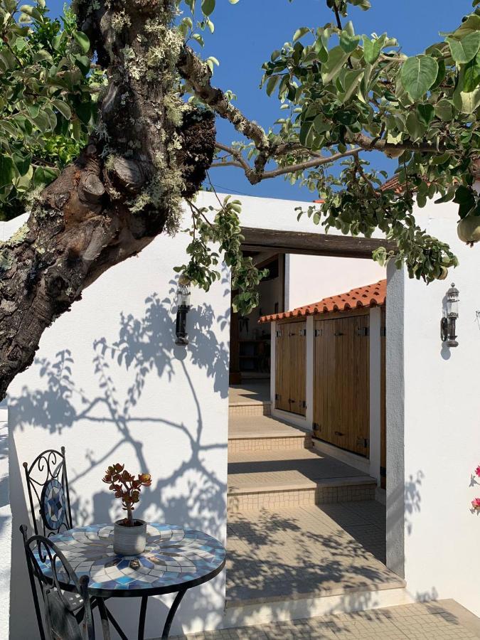 페드로강 그란지 Casa Da Oliveira B&B 외부 사진