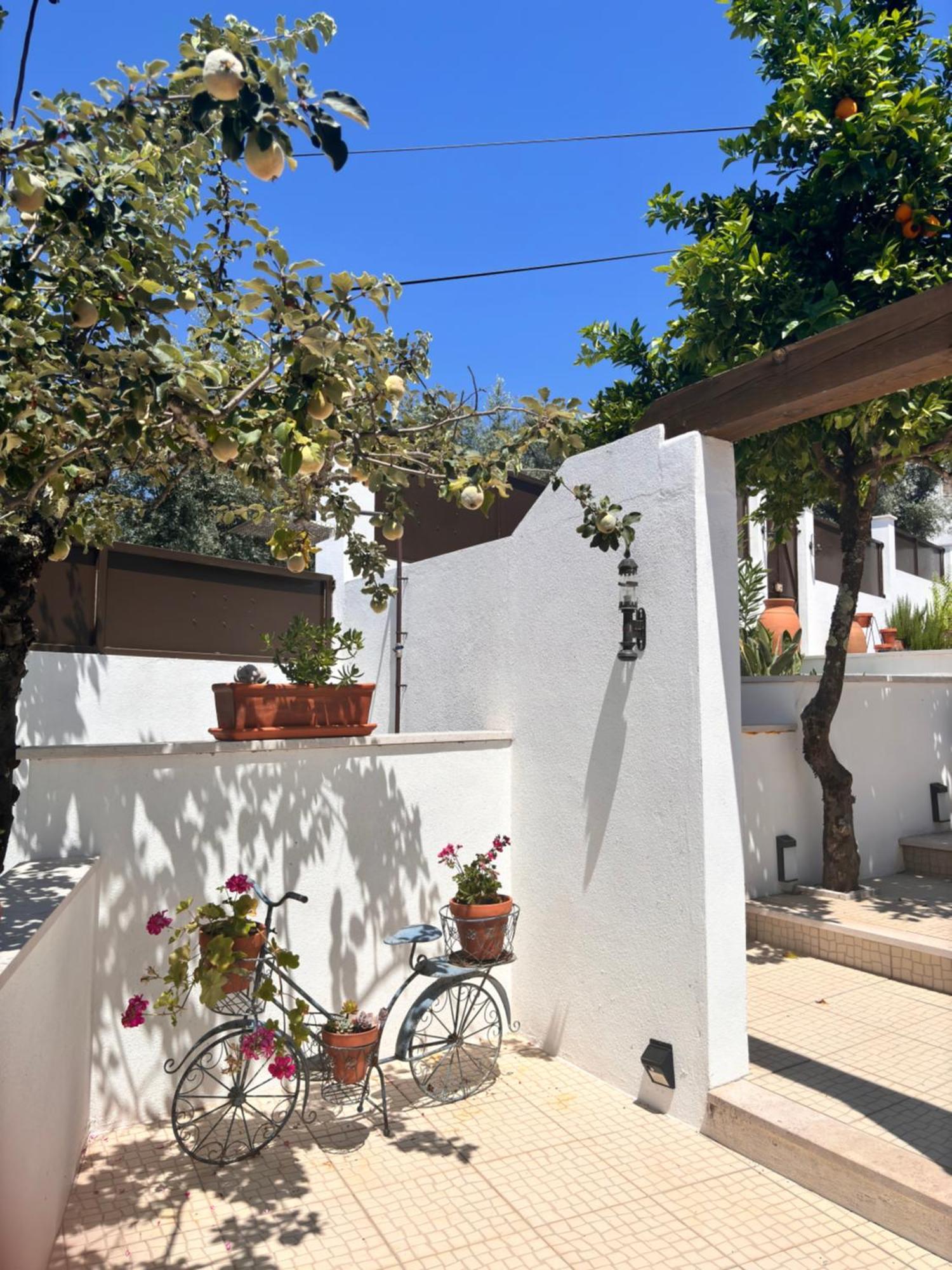 페드로강 그란지 Casa Da Oliveira B&B 외부 사진